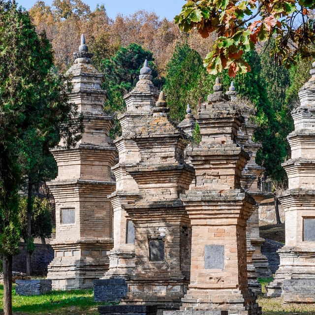 Shaolin’s Pagoda Forest