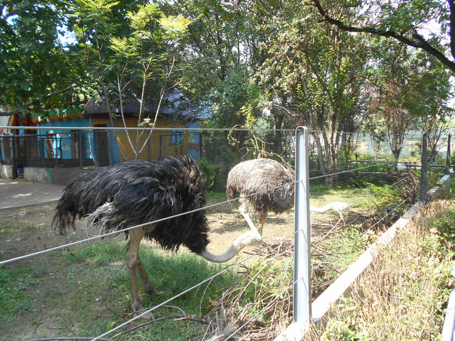 Tianjin Zoo