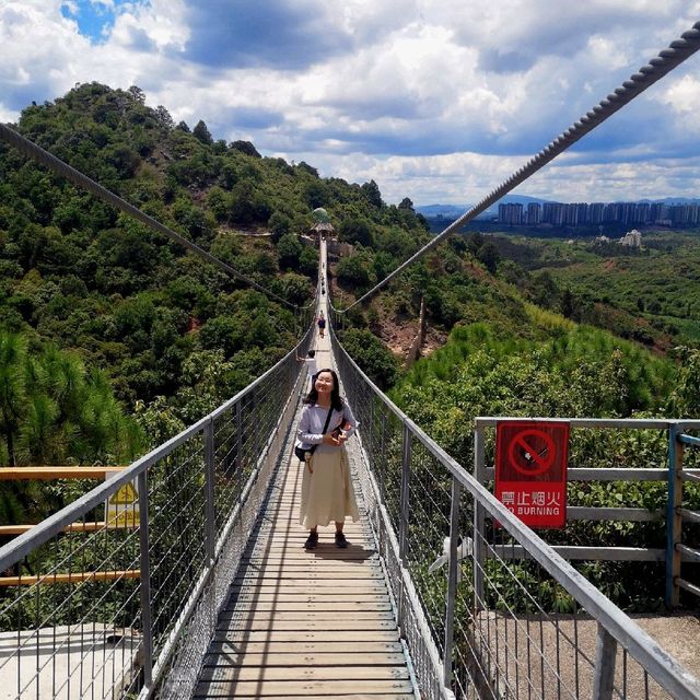 The longest rope bridge i have ever seen!
