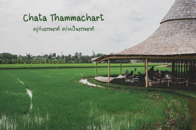 Chata thammachart จ.นครปฐม