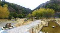 京都金閣寺, 清水寺, 嵐山一遊