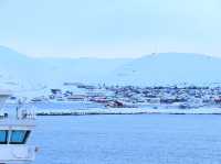 挪威北極地區巴倫支海漁村舍勒菲尤爾