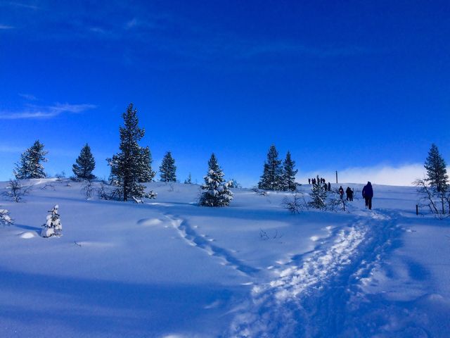 Hiking Routes in Lapland, Finland 🇫🇮☃️✈️❄️