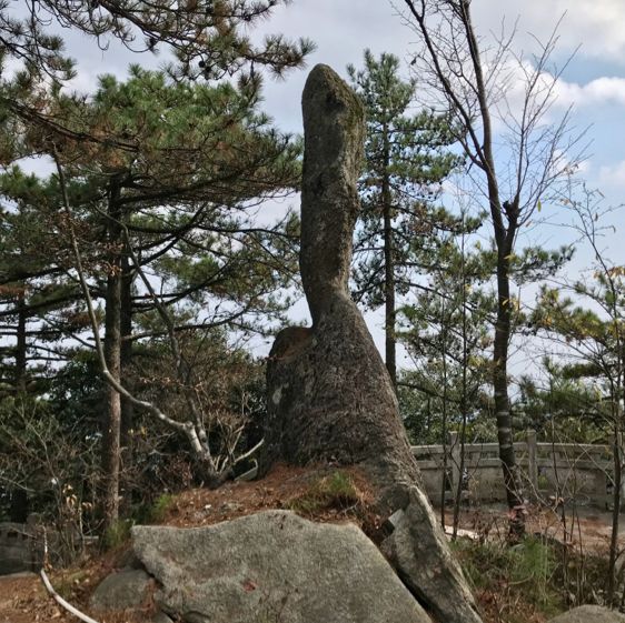 bizarre Drumstick Rock