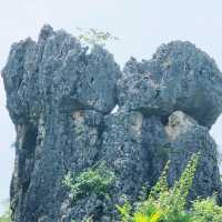 A summer in Yunnan - Kunming 