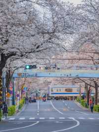Nakano Ward, Arakawa Yakushi