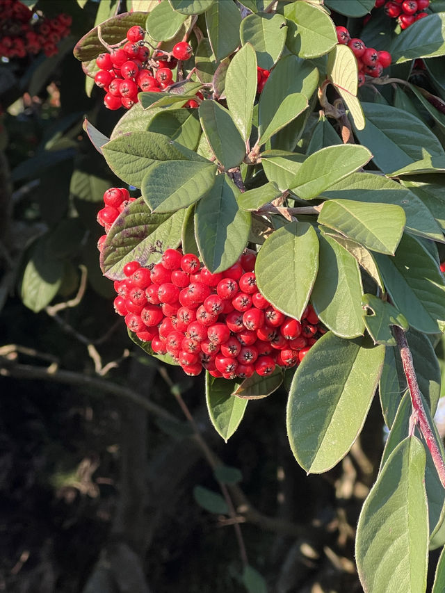 Colorful winter - Seattle