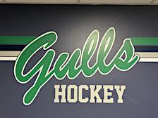 Endicott College Men's Ice Hockey vs Curry | Raymond J. Bourque Arena