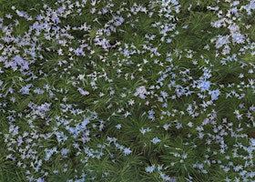 Territories of the Invisible | Suburbia Contemporary