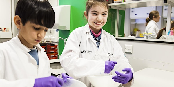 YSC Holiday Workshops: Cosmetic Chemistry (ages 7-8) | The Royal Institution