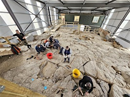 Weekend Fossil Forage Adventure - A two day dig experience | Stori Brymbo