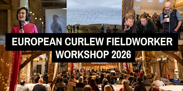 European Curlew Fieldworker Workshop 2026 | Lancaster University Lancaster Conferences