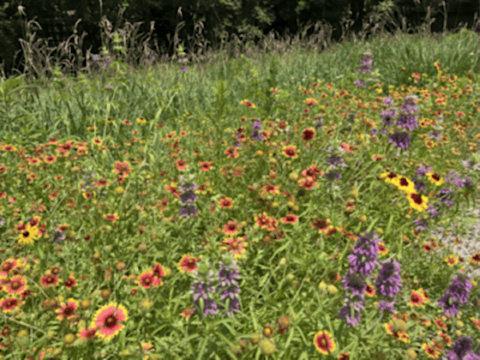 Copy of Embracing Earth  Designs | Glenpool Conference Center