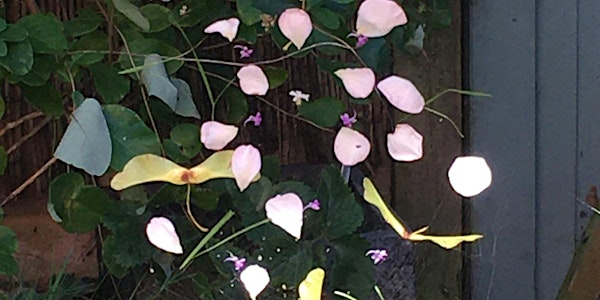 Reconnect! - Witch Workshop - Creative Spellmaking - Dreams and Charms | Brighton Open Market