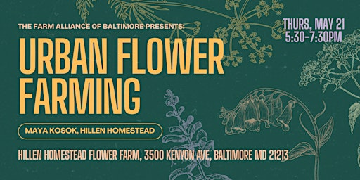 Urban Flower Farming | Hillen Homestead