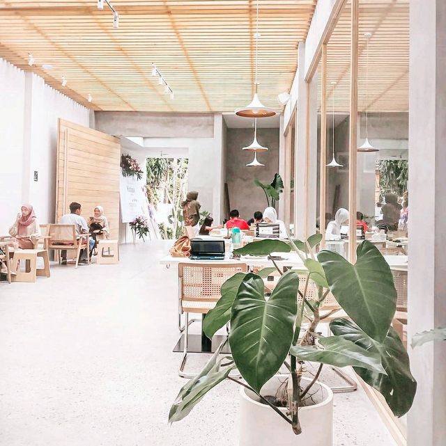 Kotask Kaffe, Shanghai