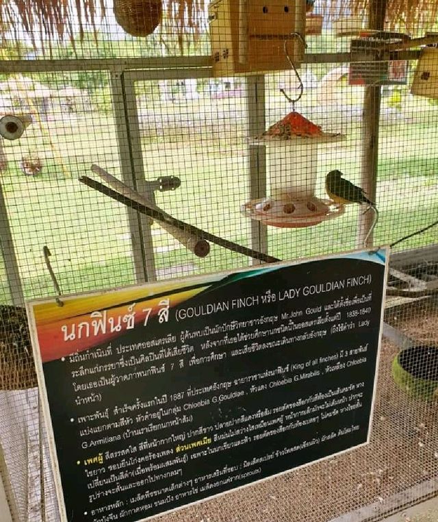Viva Farm จันทบุรี🦌🐗🐮