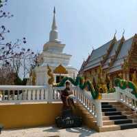 พุทธอุทยานมาฆบูชาอนุสรณ์ สวนพุทธชยันตี 