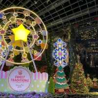 Flower Dome, Christmas light Editon