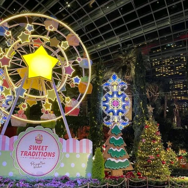 Flower Dome, Christmas light Editon