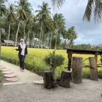 kampung agong, penaga