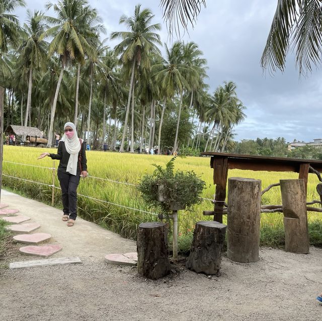kampung agong, penaga