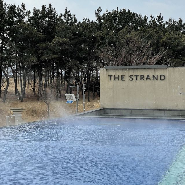 영종도의 둥지, 서해바다 온수풀 수영장은 여기지💙 인천 NEST HOTEL