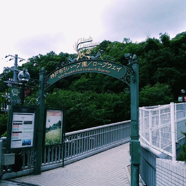 [神戸]短歌にも歌われた神戸の滝✨「布引ハーブ園」