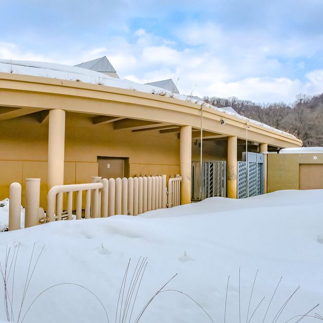 円山動物園のゾウ舎・上層階