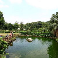 地質公園獅子會自然教育中心