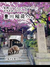 【東京】5,000円以下で泊まれる星野リゾート✨OMO3東京赤坂