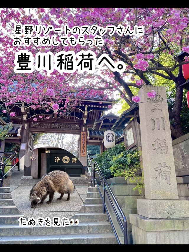 【東京】5,000円以下で泊まれる星野リゾート✨OMO3東京赤坂