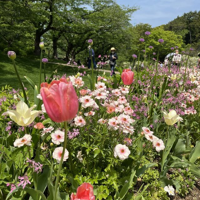 藤が見頃！はままつフラワーパーク💐