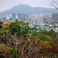 藍地水塘 屯門徑 彩虹欄桿