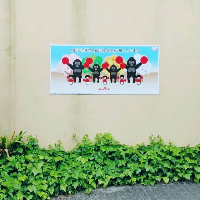 ゴリラのおうち　京都市動物園