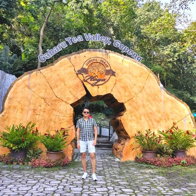 Gaharu Tea Valley @Gopeng Perak