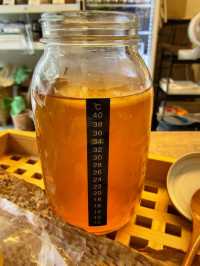 [1-day Workshop] Make your own Kombucha