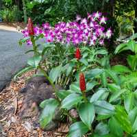 National Orchid Garden, a UNESCO Heritage