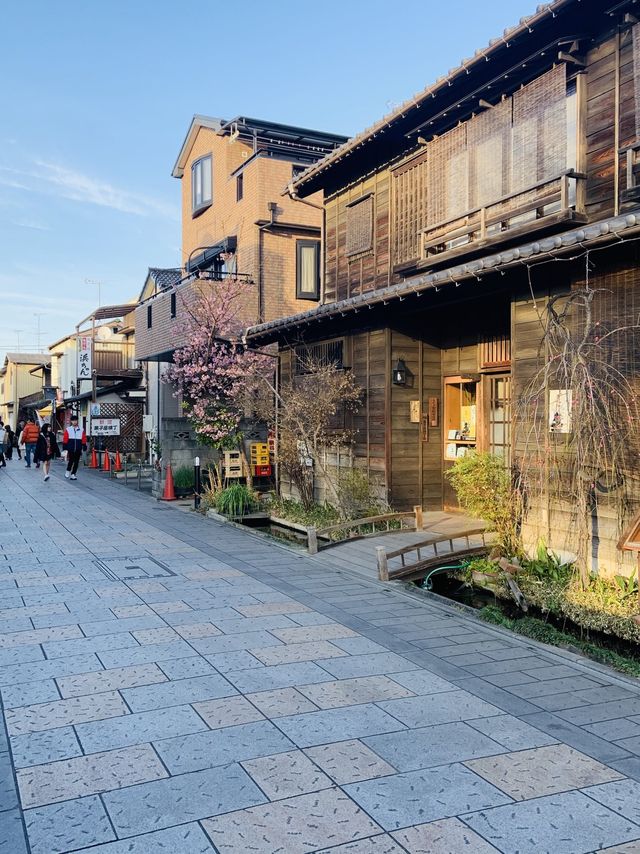 Little “Edo” Kawagoe