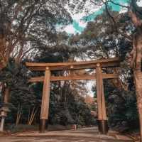Tokyo in 5days