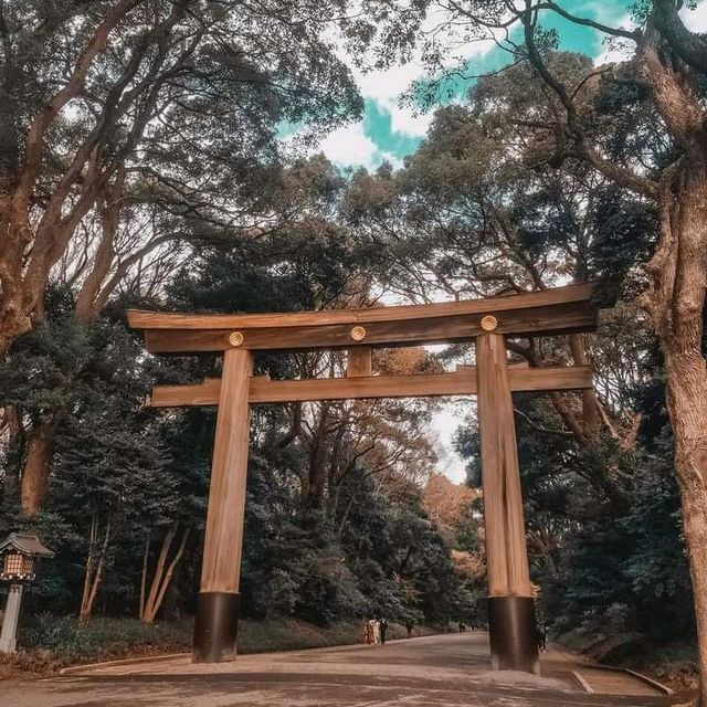 Tokyo in 5days