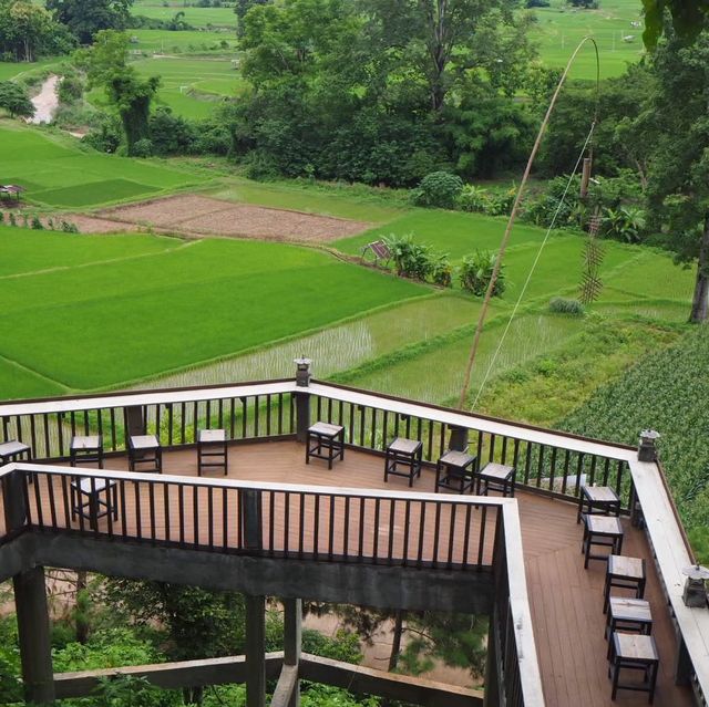 ฟาร์มเห็ดบ้านหัวน้ำ-กับเมนูเห็ดๆ