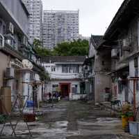 曾大屋與蝌蚪坪