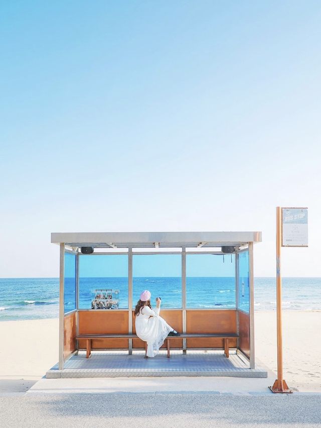 여긴 언제나 예쁜포인트! 강릉 주문진해변 BTS정류장