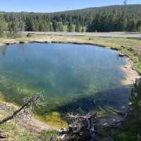 Yellowstone speaks for itself…just listen 💥