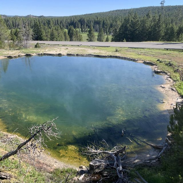 Yellowstone speaks for itself…just listen 💥