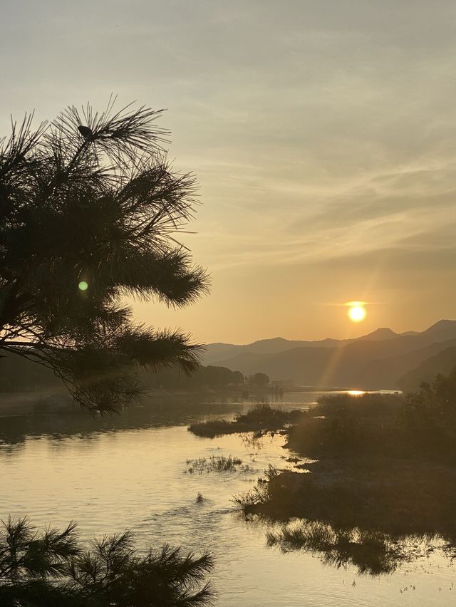 코로나 시국 최고의 힐링 여행지 🕊