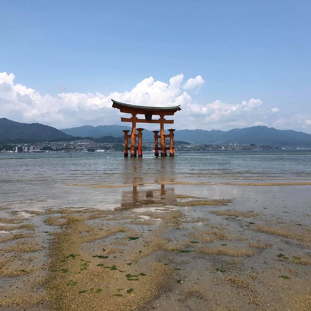 宮島必到全日本🇯🇵唯一海上鳥居⛩️