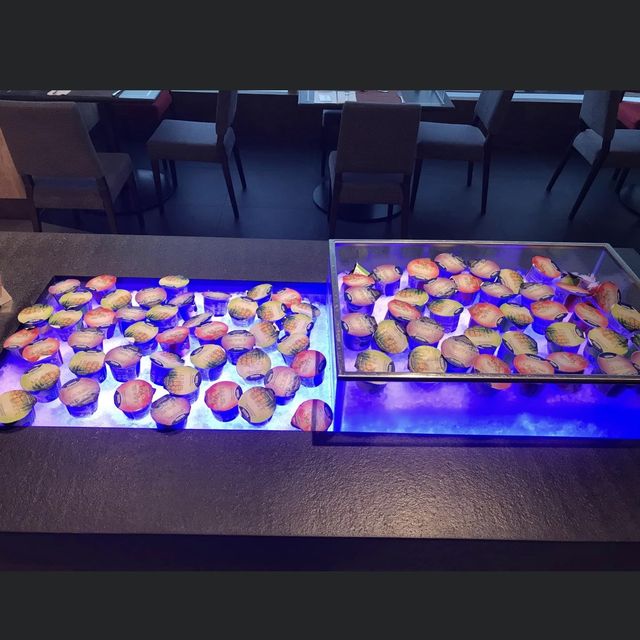 高質海景酒店 👀