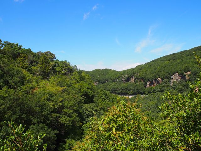 【香川】小豆島で行きたい！お猿の国